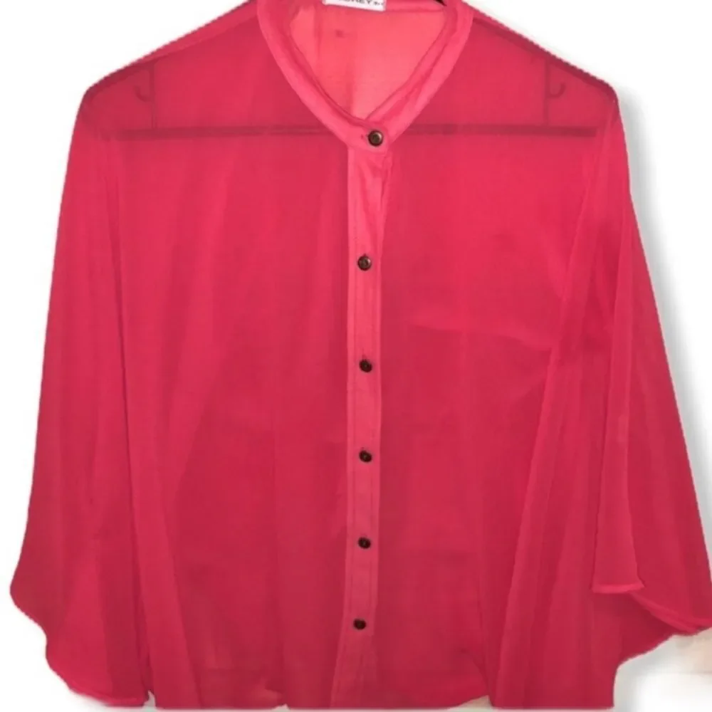 Audrey 3+1 Sheer Blouse - Picture 1 of 8